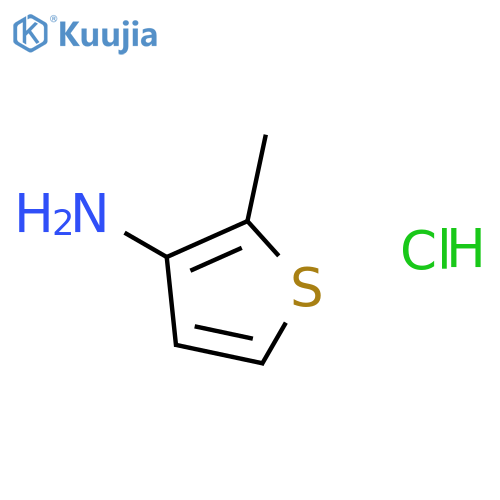 2-Methylthiophen-3-amine hydrochloride structure