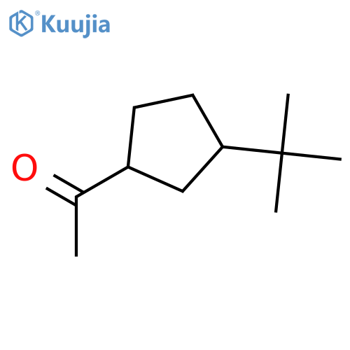 Ethanone, 1-[3-(1,1-dimethylethyl)cyclopentyl]- structure