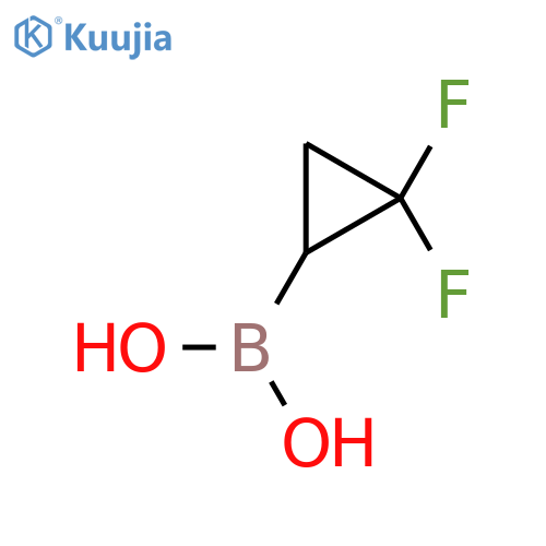 (2,2-Difluorocyclopropyl)boronic acid structure