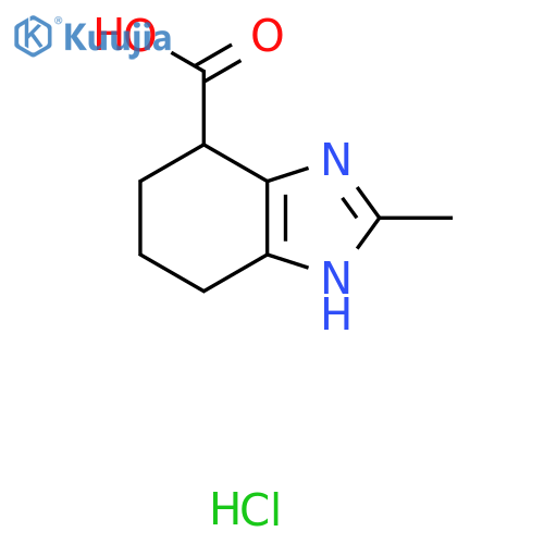 2-Methyl-4,5,6,7-tetrahydro-1H-benzimidazole-4-carboxylic acid;hydrochloride structure