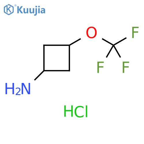 3-(trifluoromethoxy)cyclobutanamine;hydrochloride structure
