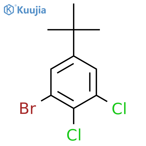 1-Bromo-2,3-dichloro-5-(1,1-dimethylethyl)benzene structure