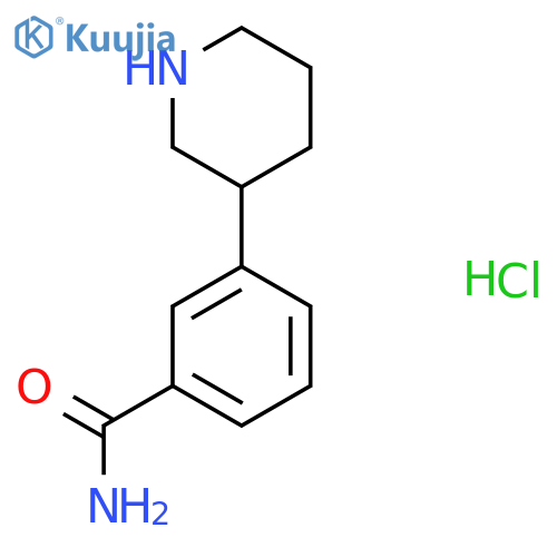 3-(piperidin-3-yl)benzamide HCl structure