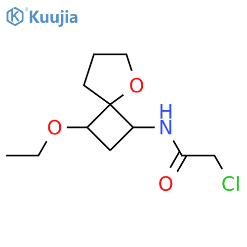 2-chloro-N-{3-ethoxy-5-oxaspiro3.4octan-1-yl}acetamide structure