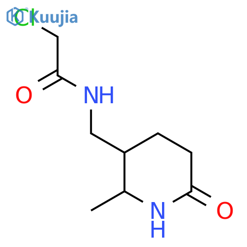 2-Chloro-N-[(2-methyl-6-oxopiperidin-3-yl)methyl]acetamide structure