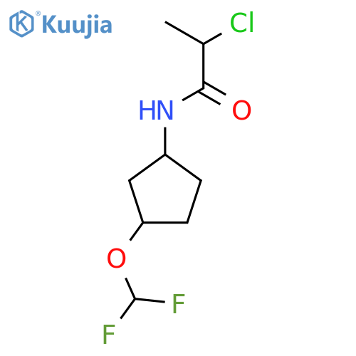 2-Chloro-N-[3-(difluoromethoxy)cyclopentyl]propanamide structure