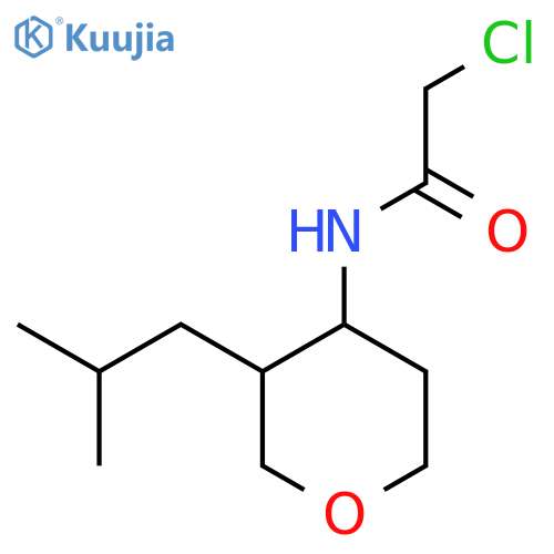 2-chloro-N-3-(2-methylpropyl)oxan-4-ylacetamide structure