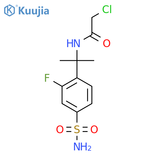 2-chloro-N-2-(2-fluoro-4-sulfamoylphenyl)propan-2-ylacetamide structure