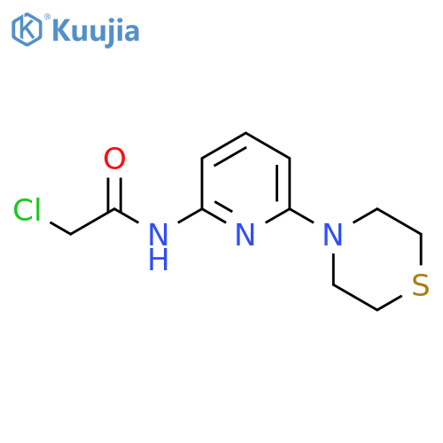2-chloro-N-6-(thiomorpholin-4-yl)pyridin-2-ylacetamide structure
