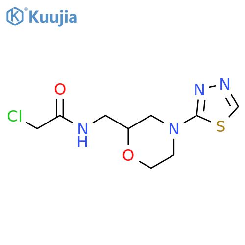2-chloro-N-{4-(1,3,4-thiadiazol-2-yl)morpholin-2-ylmethyl}acetamide structure