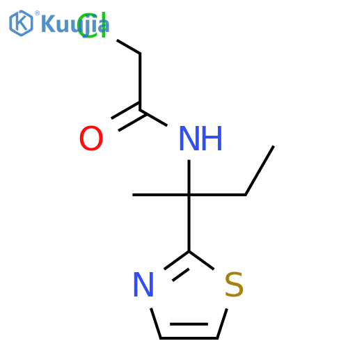 2-chloro-N-2-(1,3-thiazol-2-yl)butan-2-ylacetamide structure