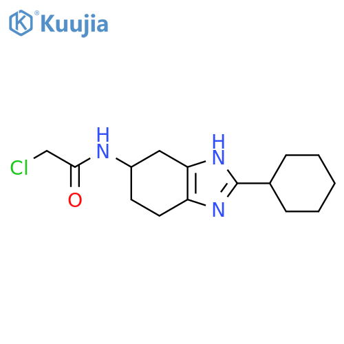 2-chloro-N-(2-cyclohexyl-4,5,6,7-tetrahydro-1H-1,3-benzodiazol-5-yl)acetamide structure