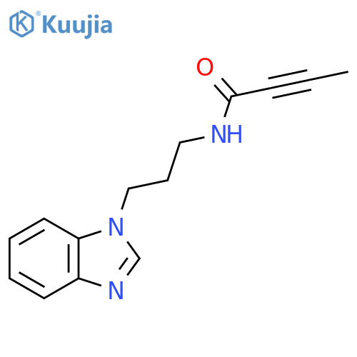 N-3-(1H-1,3-benzodiazol-1-yl)propylbut-2-ynamide structure