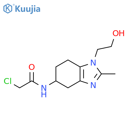 2-chloro-N-1-(2-hydroxyethyl)-2-methyl-4,5,6,7-tetrahydro-1H-1,3-benzodiazol-5-ylacetamide structure