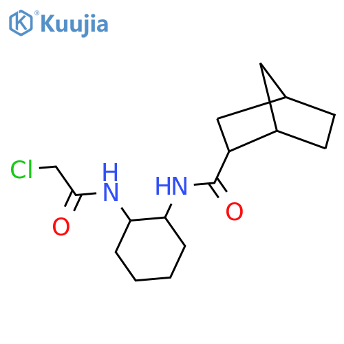 N-[2-(2-chloroacetamido)cyclohexyl]bicyclo[2.2.1]heptane-2-carboxamide structure