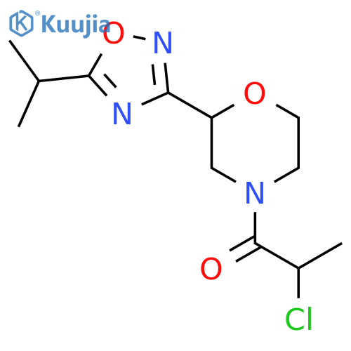 2-Chloro-1-[2-(5-propan-2-yl-1,2,4-oxadiazol-3-yl)morpholin-4-yl]propan-1-one structure