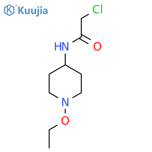 2-Chloro-N-(1-ethoxypiperidin-4-yl)acetamide structure