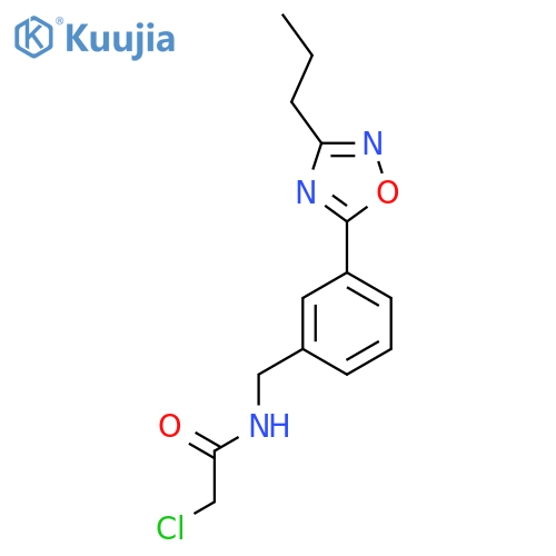 2-chloro-N-{3-(3-propyl-1,2,4-oxadiazol-5-yl)phenylmethyl}acetamide structure