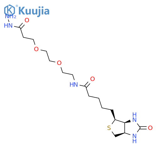5-(3aS,4S,6aR)-2-oxo-hexahydro-1H-thieno3,4-dimidazol-4-yl-N-(2-{2-2-(hydrazinecarbonyl)ethoxyethoxy}ethyl)pentanamide structure
