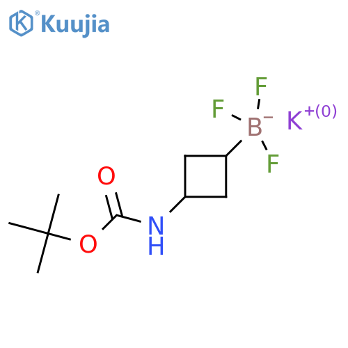 potassium;[3-(tert-butoxycarbonylamino)cyclobutyl]-trifluoro-boranuide structure