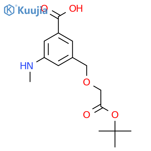 3-{2-(tert-butoxy)-2-oxoethoxymethyl}-5-(methylamino)benzoic acid structure
