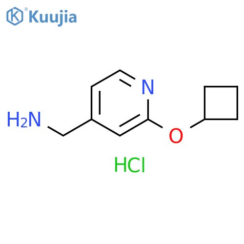 1-(2-cyclobutoxypyridin-4-yl)methanamine hydrochloride structure