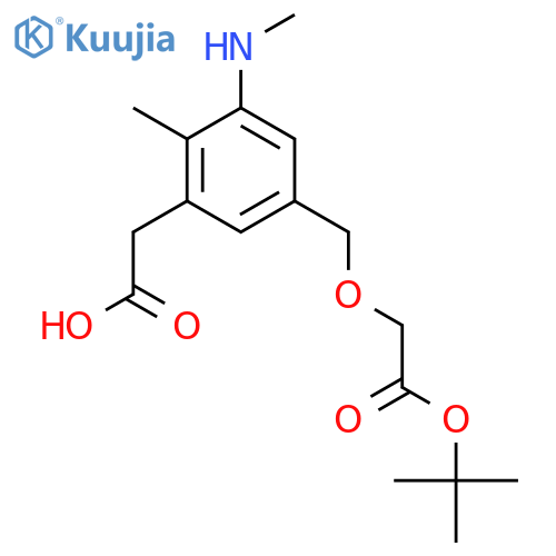 2-(5-{2-(tert-butoxy)-2-oxoethoxymethyl}-2-methyl-3-(methylamino)phenyl)acetic acid structure