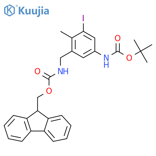 (9H-fluoren-9-yl)methyl N-(5-{(tert-butoxy)carbonylamino}-3-iodo-2-methylphenyl)methylcarbamate structure
