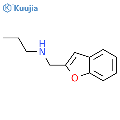 (1-benzofuran-2-yl)methyl(propyl)amine structure