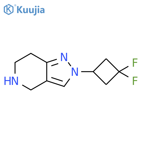 2-(3,3-difluorocyclobutyl)-4,5,6,7-tetrahydropyrazolo[4,3-c]pyridine structure