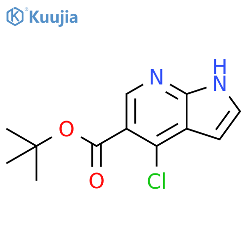 1H-Pyrrolo[2,3-b]pyridine-5-carboxylic acid, 4-chloro-, 1,1-dimethylethyl ester structure