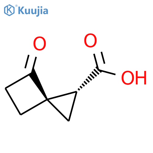 rac-(1R,3R)-4-oxospiro2.3hexane-1-carboxylic acid structure