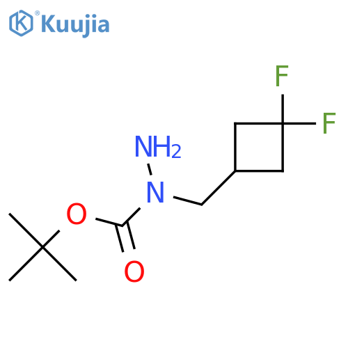 N-(3,3-difluorocyclobutyl)methyl(tert-butoxy)carbohydrazide structure