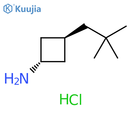 (1s,3r)-3-(2,2-dimethylpropyl)cyclobutan-1-amine hydrochloride, trans structure