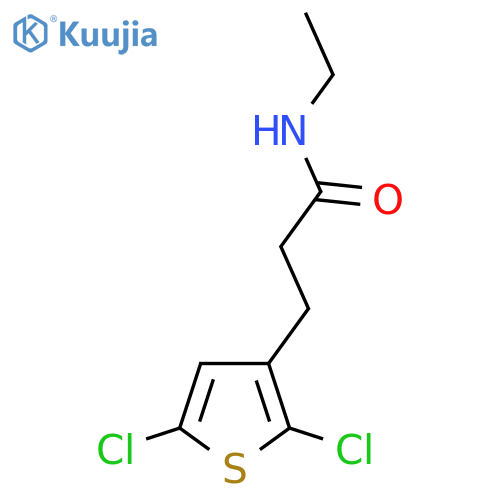 3-(2,5-Dichlorothiophen-3-yl)-N-ethylpropanamide structure