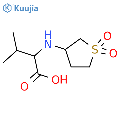 2-((1,1-dioxidotetrahydrothiophen-3-yl)amino)-3-methylbutanoic acid structure