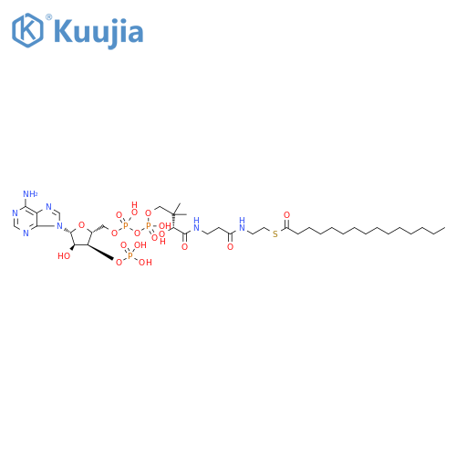 Coenzyme A, S-pentadecanoate structure