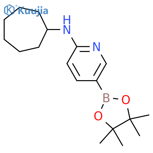 N-Cycloheptyl-5-(tetramethyl-1,3,2-dioxaborolan-2-yl)pyridin-2-amine structure