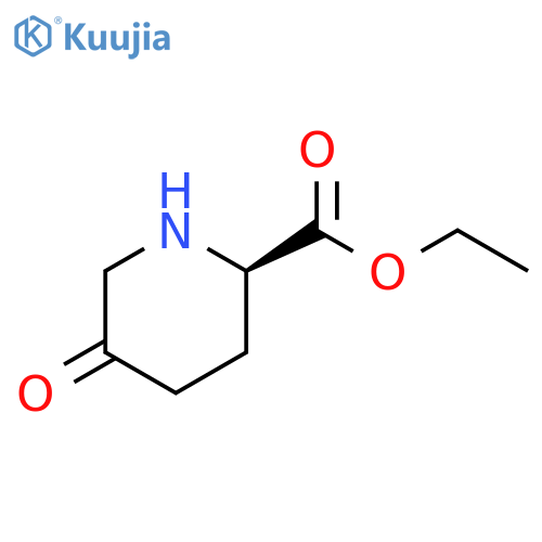 2-Piperidinecarboxylic acid, 5-oxo-, ethyl ester, (2R)- structure