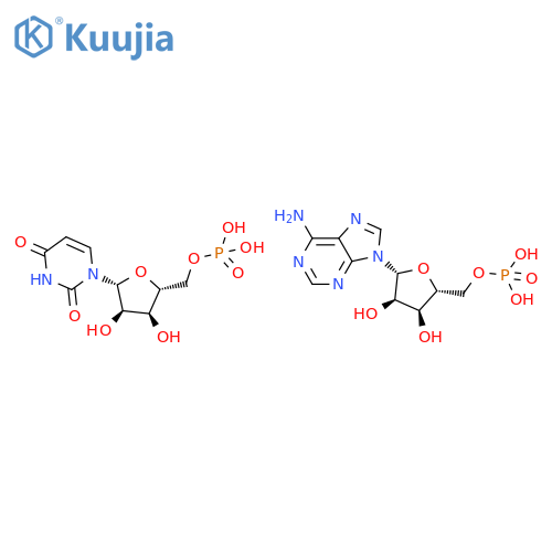 POLYADENYLATE-POLYURIDYLATE structure