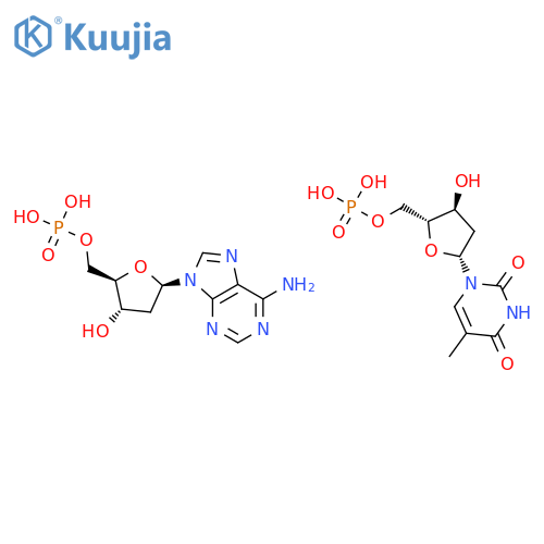 oligo(dT)-oligo(dA) structure