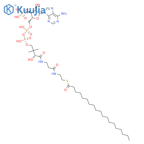 Coenzyme A, S-nonadecanoate structure