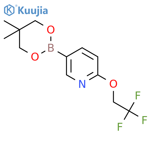 5-(5,5-dimethyl-1,3,2-dioxaborinan-2-yl)-2-(2,2,2-trifluoroethoxy)-Pyridine structure