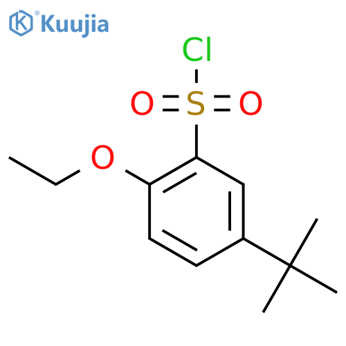 5-Tert-butyl-2-ethoxybenzene-1-sulfonyl chloride structure