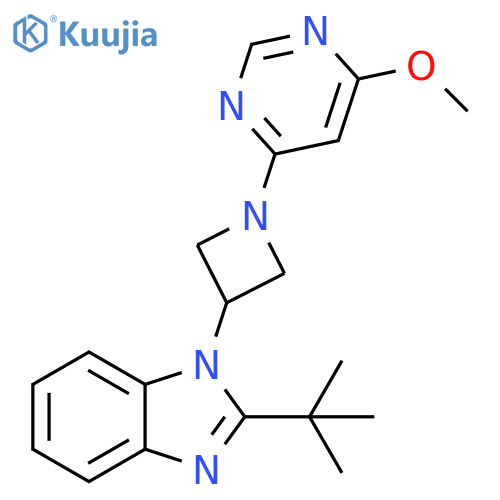 2-tert-butyl-1-[1-(6-methoxypyrimidin-4-yl)azetidin-3-yl]-1H-1,3-benzodiazole structure