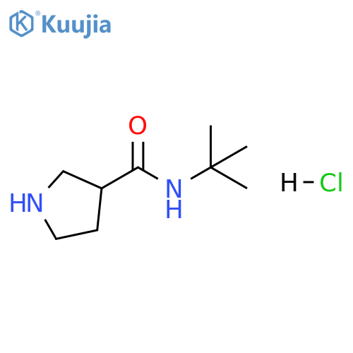 N-tert-butylpyrrolidine-3-carboxamide hydrochloride structure
