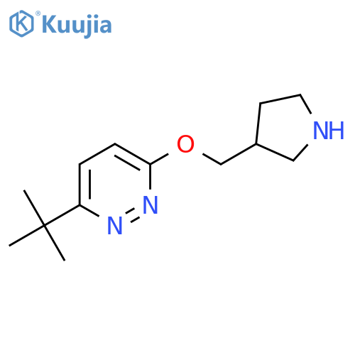 3-Tert-butyl-6-[(pyrrolidin-3-yl)methoxy]pyridazine structure