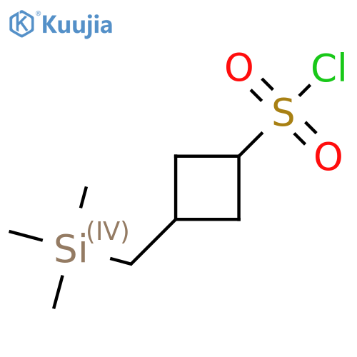 3-(trimethylsilyl)methylcyclobutane-1-sulfonyl chloride, Mixture of diastereomers structure