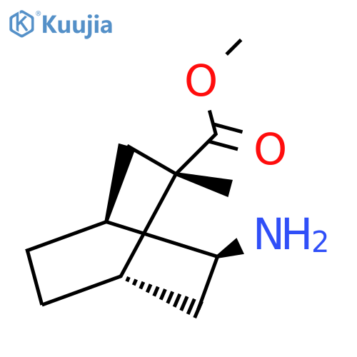 rac-methyl (1R,2R,4R,5R)-5-amino-2-methylbicyclo2.2.2octane-2-carboxylate structure