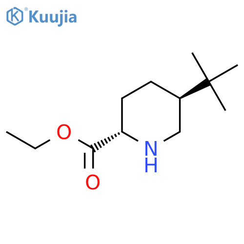 rac-ethyl (2R,5R)-5-tert-butylpiperidine-2-carboxylate structure